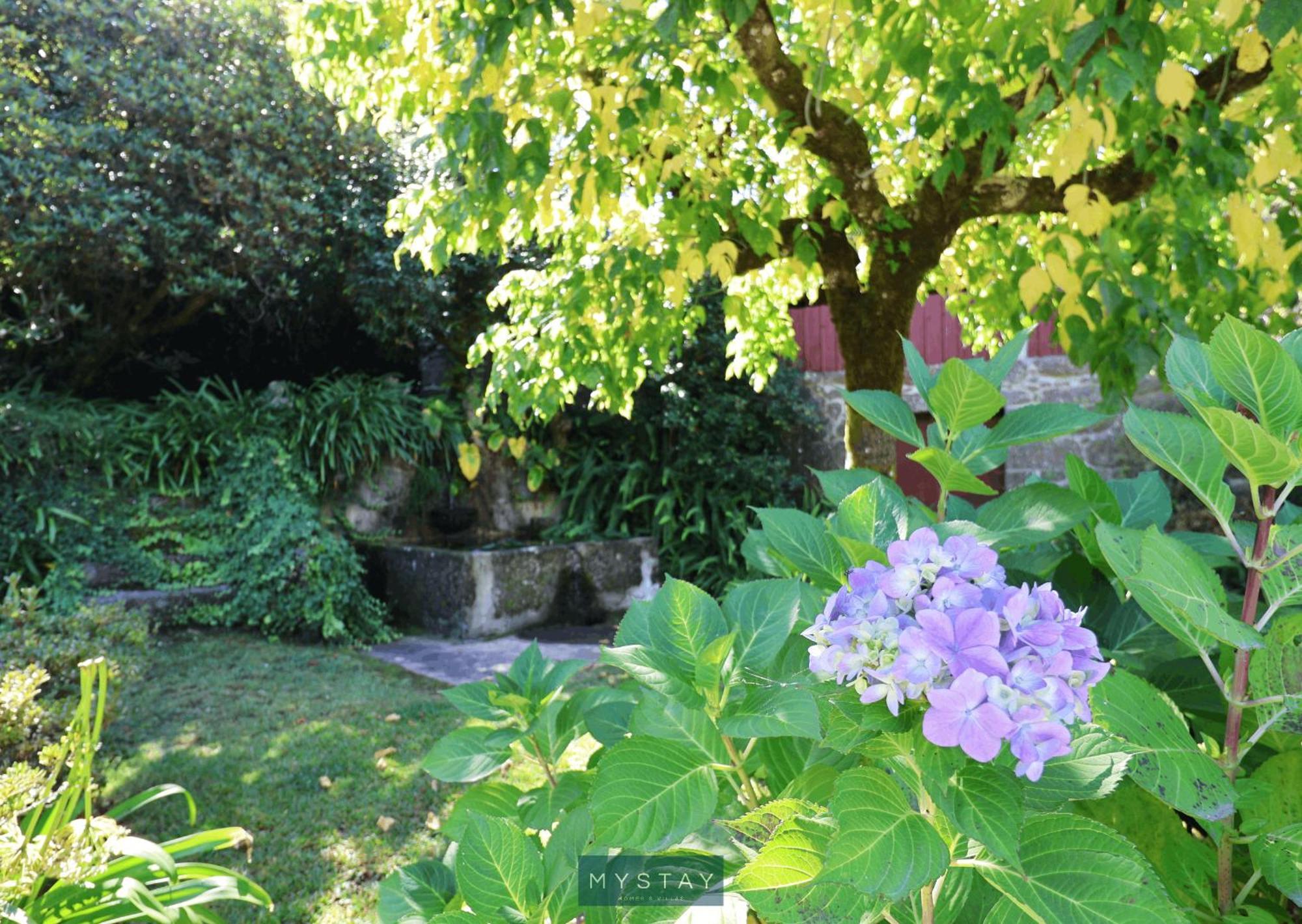 Mystay - Quinta Da Balanca Terras de Bouro Eksteriør bilde